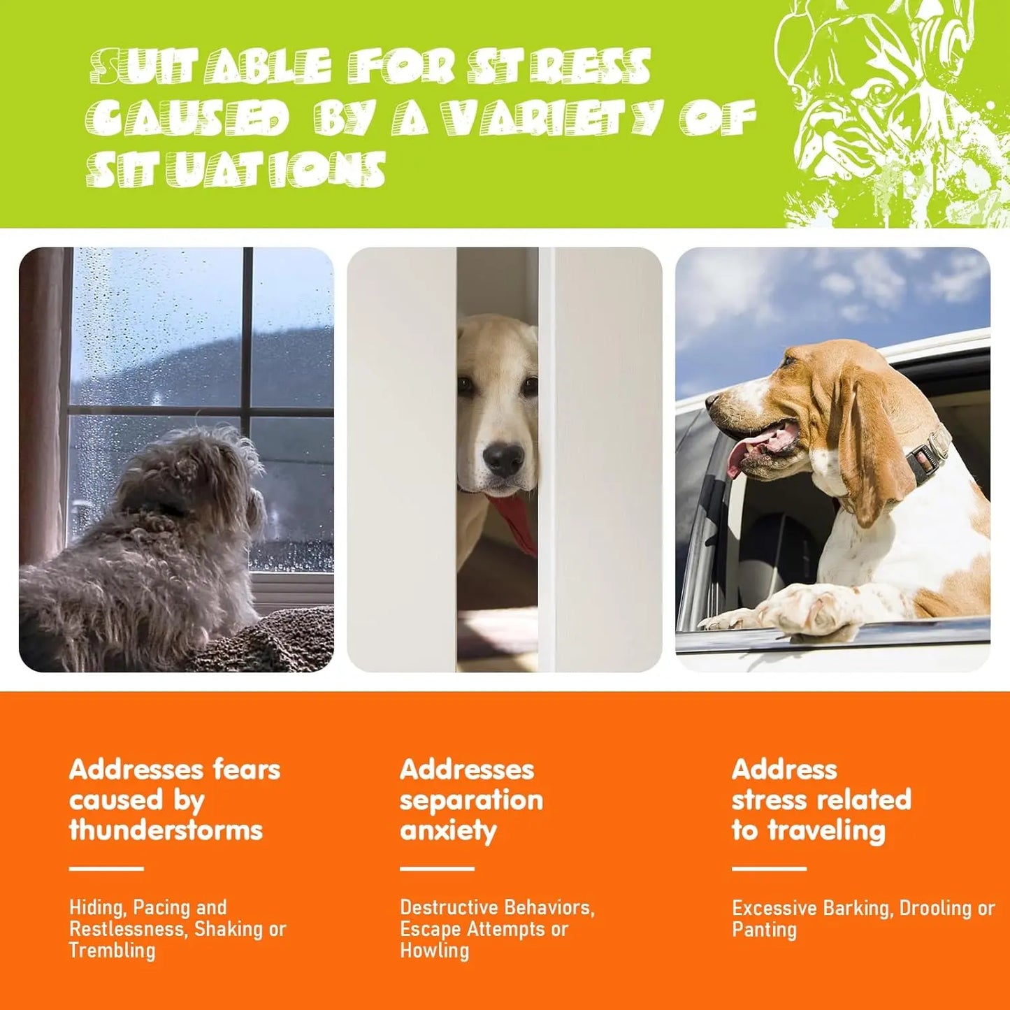 Bluelage Hemp Calming Chews for Dogs Anxiety Separation Anxiety - Woof Pet Products