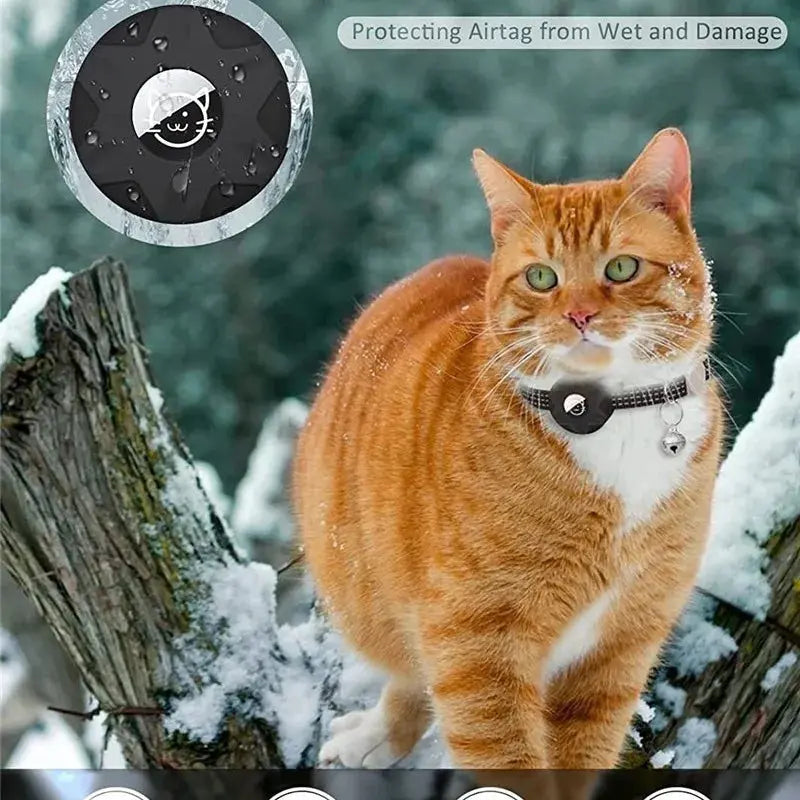 Silicone Case Cat Collar With Tracker - Woof Pet Products