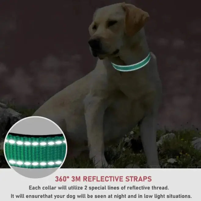 Adjustable Chest Strap Dog Collar - Woof Pet Products