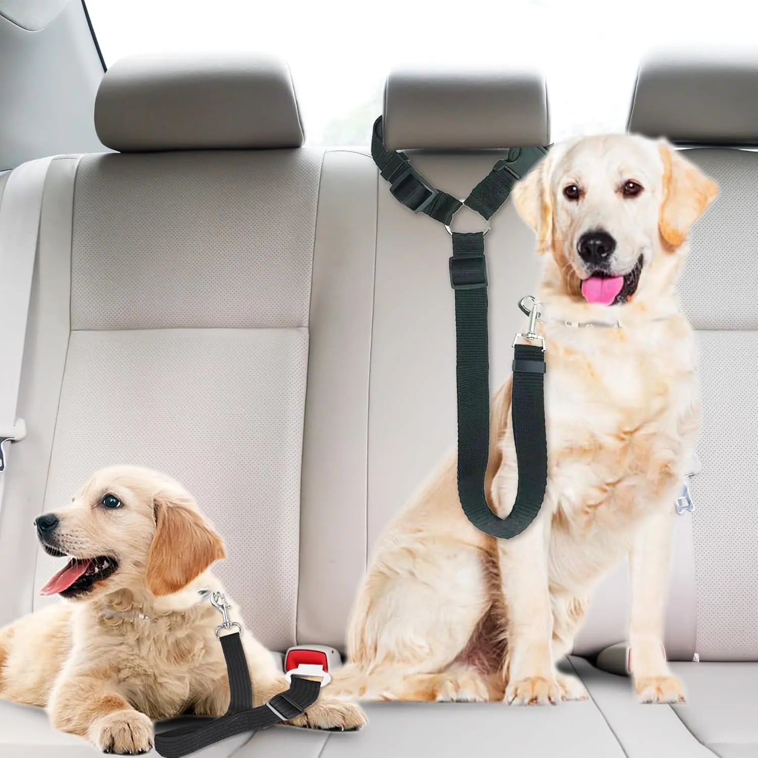 SunGrow Dog Seatbelt & Leash Universal Vehicle Seatbelt - Woof Pet Products