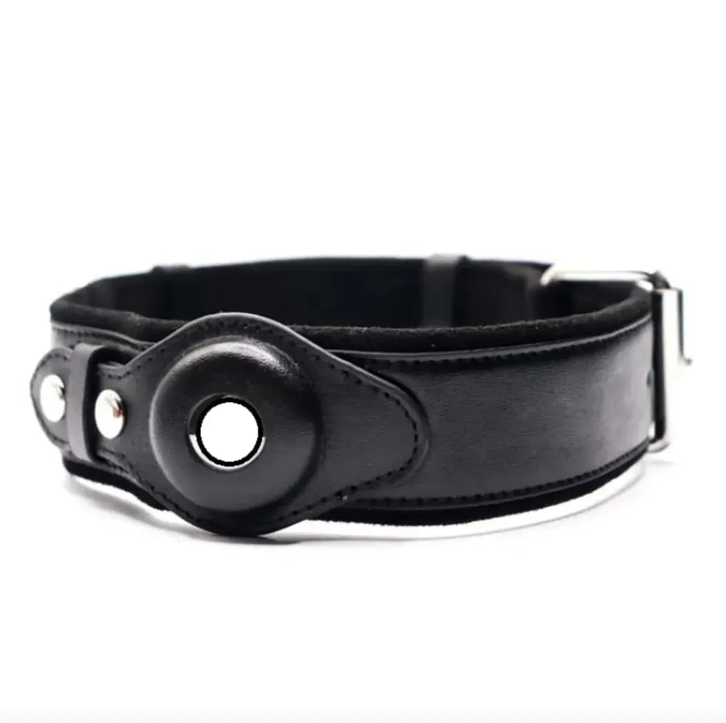 Leather Dog Collar with Location Tracker - Woof Pet Products