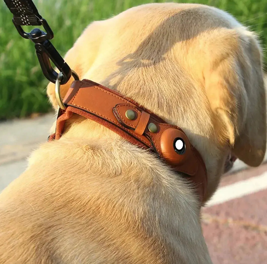 Leather Dog Collar with Location Tracker - Woof Pet Products